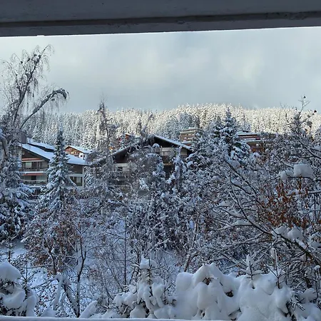 Caddies Club Hotel apartamentowy 3*