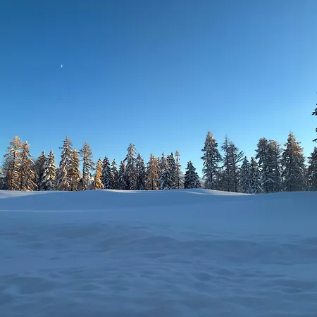 Caddies Club Aparthotel