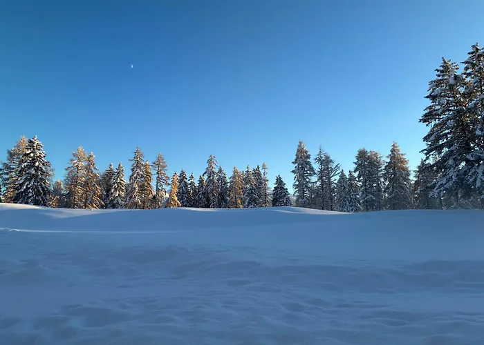 Caddies Club Aparthotel