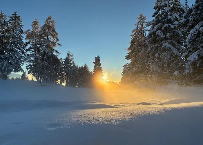 Aparthotel Caddies Club Crans-Montana