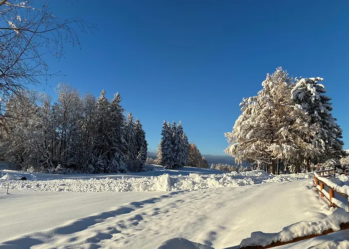 Aparthotel Caddies Club Crans-Montana