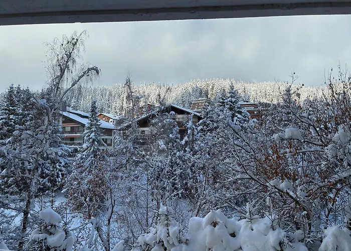 Caddies Club Aparthotel 3*