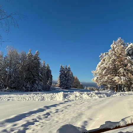 Lägenhetshotell Caddies Club Crans-Montana